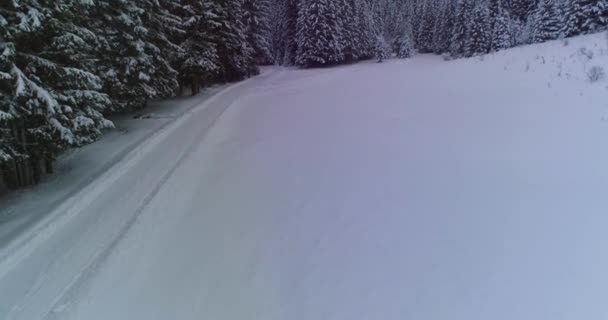 Drone photo snow covered trees, winter nature beautiful Europe a — ストック動画