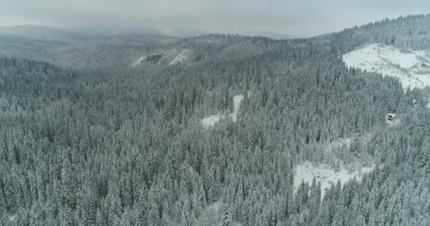 Drone photo snow covered trees, winter nature beautiful Europe a — ストック動画