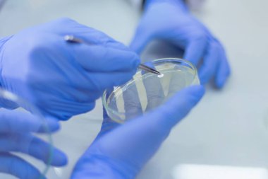 Laboratuvarda çalışan ve araştırma yapan iki genç bilim adamı.