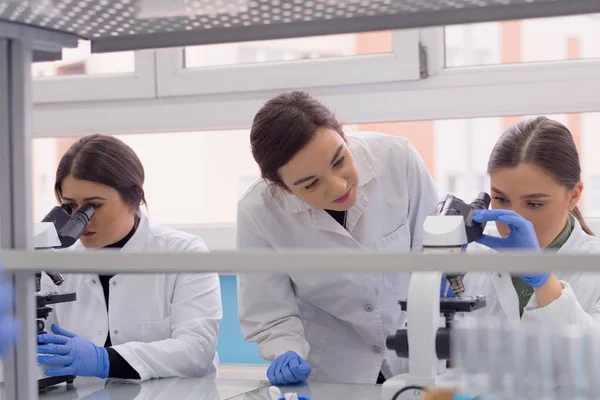 Groep laboratoriumwetenschappers werkzaam in het lab met reageerbuizen, — Stockfoto
