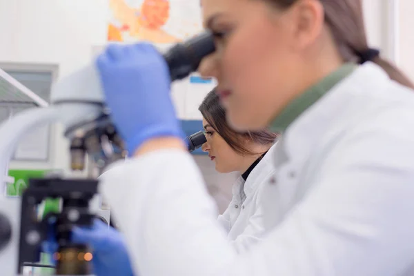 Grupo de científicos de laboratorio que trabajan en laboratorio con tubos de ensayo, — Foto de Stock