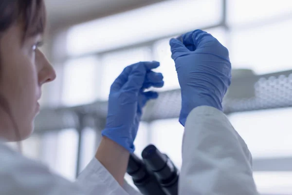Científica joven de laboratorio trabajando en laboratorio con tubos de ensayo — Foto de Stock