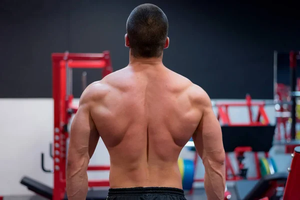 Fitness model Man posing in the gym. Handsome man with big muscl