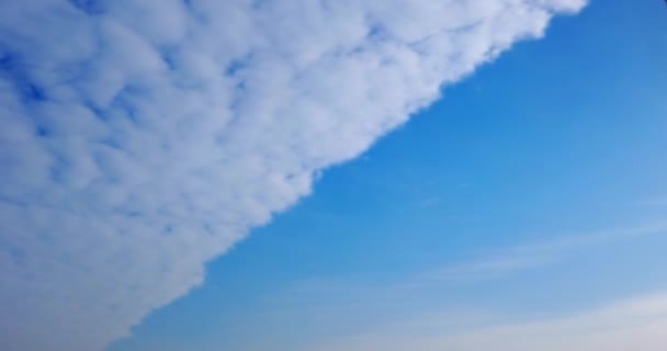 Białe Chmury Niebieskim Tle Nieba — Wideo stockowe