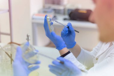 Coronavirus 'u kabul et. Corona vi için bilim adamı ya da doktor araştırması