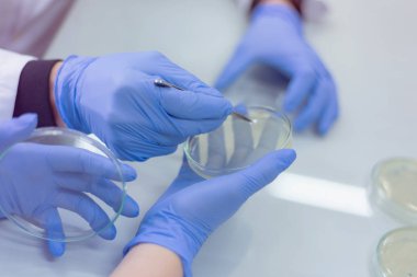 Coronavirus 'u kabul et. 2019-NCoV. Bilim adamları ya da doktorlar