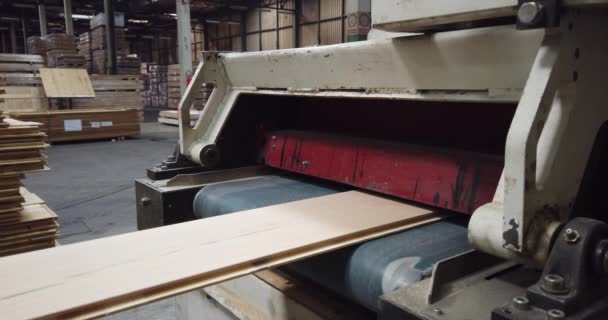 木製の床工場の生産ライン 生産中のボードの倉庫 工場貯蔵倉庫に切り取られた木材の山 倉庫内の木材 — ストック動画