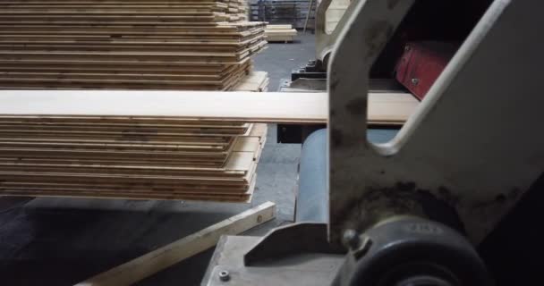 Ligne Production Usine Plancher Bois Entrepôt Planches Dans Production Pile — Video