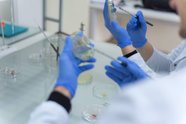 Coronavirus tarafından Covid-19 etiketli biyolojik bir tüp ile kirletilmiş bir mikrobiyoloji uzmanı grubu analiz ve Covid-19 enfeksiyonlu disea örnekleri için laboratuvarda biyolojik bir tüp bulunmakta.
