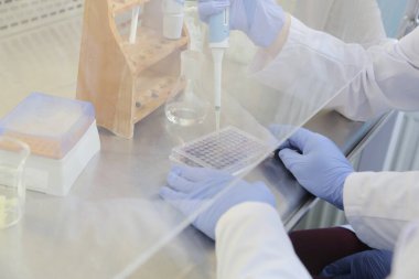 Laboratuvarda test tüpleri, mikroskop, test ya da araştırma yapan iki genç kadın laboratuvar bilim adamı. Bilim, kimya, biyoloji, tıp ve insan konsepti..