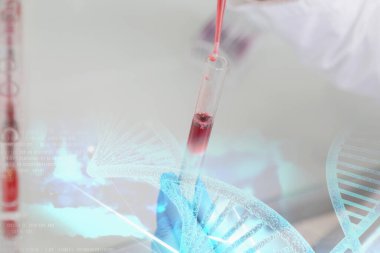 Laboratuvarda test tüpleri, mikroskop, test veya araştırma ile çalışan genç kadın laboratuvar bilim adamı. Bilim, kimya, biyoloji, tıp ve insan konsepti..