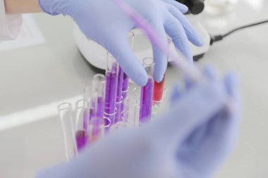 Laboratuvarda test tüpleri, mikroskop, test veya araştırma ile çalışan genç kadın laboratuvar bilim adamı. Bilim, kimya, biyoloji, tıp ve insan konsepti..