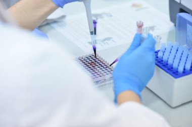 Laboratuvarda test tüpleri ve mikroskop, test veya araştırma yapan iki genç kadın ve erkek bilim adamı. Bilim, kimya, biyoloji, tıp ve insan konsepti..