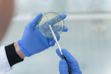 Coronavirus 'u kabul et. Corona virüsü tedavisi için bilim adamı ya da doktor araştırması ilaç ve laboratuvarda ya da hastanede araştırma.