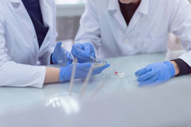 Laboratuvarda çalışan ve araştırma yapan iki genç bilim adamı, mikrobiyolojik analiz, tıp....