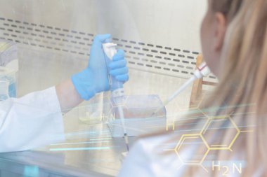 Laboratuvarda test tüpleri, mikroskop, test ya da araştırma yapan iki genç kadın laboratuvar bilim adamı. Bilim, kimya, biyoloji, tıp ve insan konsepti..