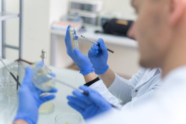 Bir grup bilim adamı ileri teknolojiyi kullanarak bir bilimsel laboratuvarda araştırma yapıyor. COVID-19. COVID Coronavirüs