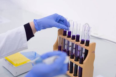 Laboratuvarda test tüpleri, test ya da araştırma yapan genç kadın laboratuvar bilim adamı. Bilim, kimya, biyoloji, tıp ve insan konsepti..