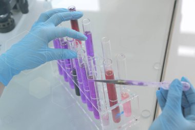 Genetik laboratuarındaki mikrobiyolojik pipette. Bilim laboratuarı test tüpleri.