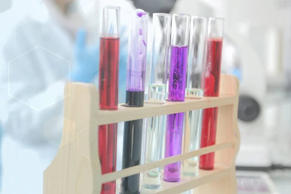 遺伝学研究室の微生物ピペット 科学実験室試験管 — ストック写真