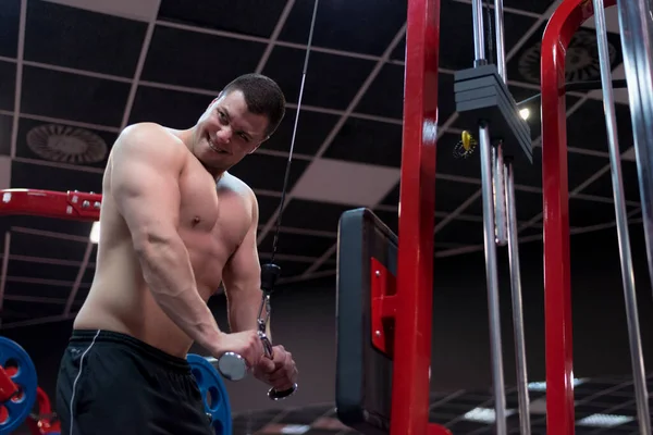 보디빌딩 Muscular Athletic Bodybuilder Fitness Model Training Arms Dumbbells Gym — 스톡 사진