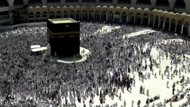 メッカ サウジアラビア 2019年8月 世界中のイスラム教徒の巡礼者が集まり メッカ サウジアラビア ハッジやオムラの日のハラムモスクでウムラやハッジを演奏しました — ストック動画
