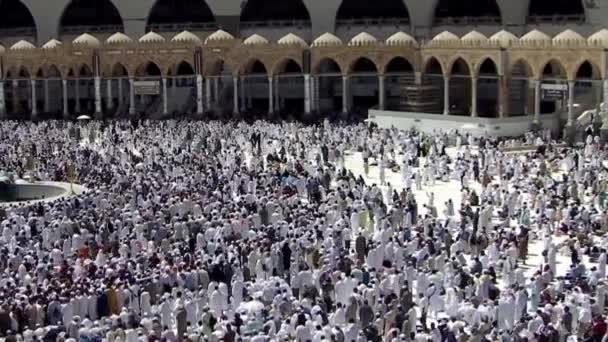 Mecca Saudi Arabia Sierpień 2019 Muzułmańscy Pielgrzymi Całego Świata Zebrali — Wideo stockowe
