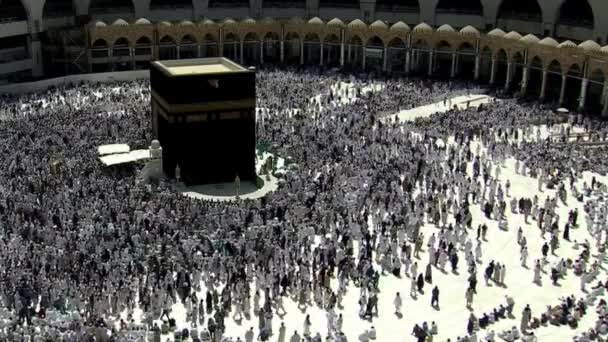 Mecca Saudi Arabia Sierpień 2019 Muzułmańscy Pielgrzymi Całego Świata Zebrali — Wideo stockowe