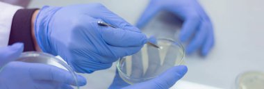 Coronavirus 'u kabul et. Corona virüsü tedavisi için bilim adamı ya da doktor araştırması ilaç ve laboratuvarda ya da hastanede araştırma.