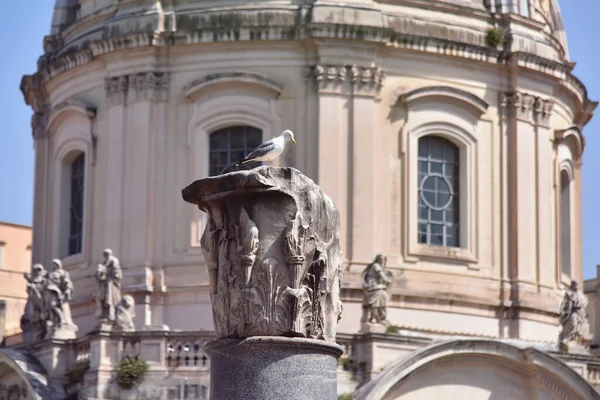 Rome Italie Juin 2019 Des Monuments Les Célèbres Monde Forum — Photo