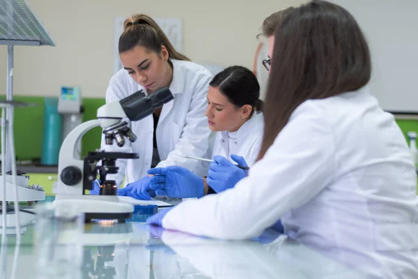 Groep Laboratoriumwetenschappers Die Het Lab Werken Met Reageerbuizen Testen Onderzoek — Stockfoto