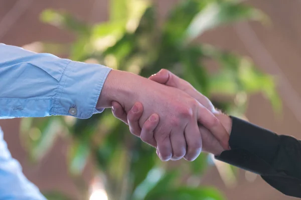 Gente Negocios Dándose Mano Terminando Una Reunión — Foto de Stock