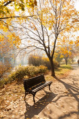 Sonbaharın başında boş park, alanın derinliğine dikkat edin