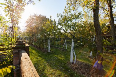 meyve bahçesinde sonbahar