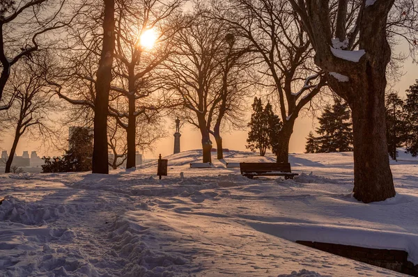 Park Pod Śniegiem Twierdzy Belgrad Słoneczny Dzień Zanotuj Płytką Głębię — Zdjęcie stockowe
