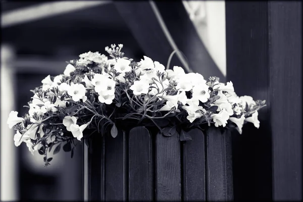 Hanging wooden flower arrangement at the entrance, note shallow depth of field