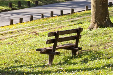 Parktaki ahşap bank, derin alan derinliğine dikkat edin.