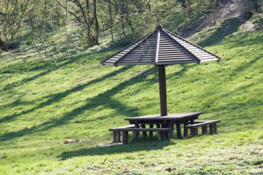 piknik ormanda, Not alan sığ derinliği için yer