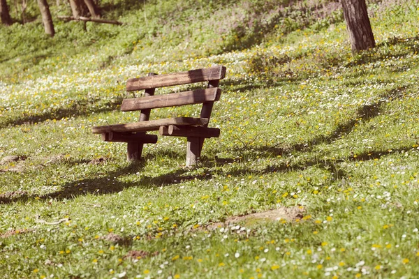 Žluté Pampelišky Mezi Divokými Květy Lese Všimněte Mělké Hloubky Pole — Stock fotografie