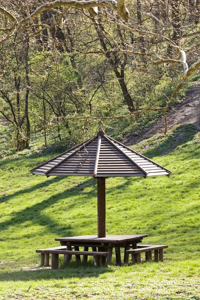 Platz Für Picknick Wald Geringe Schärfentiefe Beachten — Stockfoto