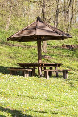 piknik ormanda, Not alan sığ derinliği için yer