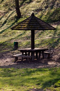 piknik ormanda, Not alan sığ derinliği için yer
