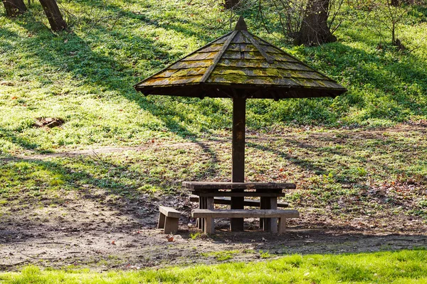 place for picnic in the woods, note shallow depth of field