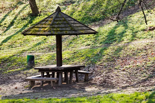 place for picnic in the woods, note shallow depth of field