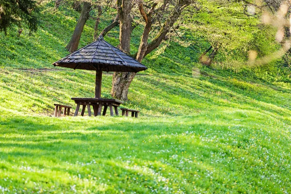 picnic place in nature
