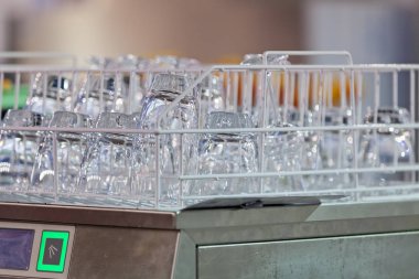 catering için gözlük