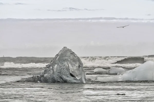 Černobílý obraz ledovců na ledovci Jokulsarlon — Stock fotografie