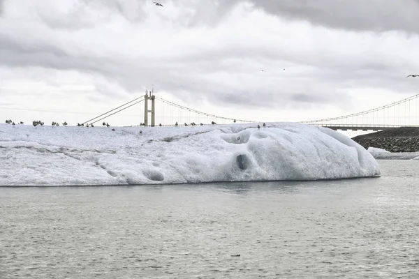 Černobílý obraz ledovců na ledovci Jokulsarlon — Stock fotografie