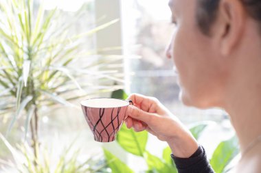 vintage pink tee cup on green flower background, the sun shines through the window, woman hand
