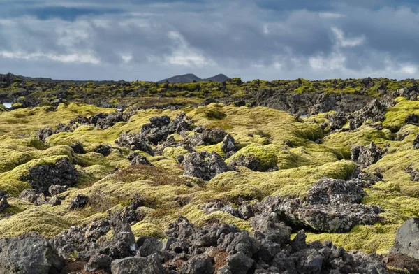 Vacker geotermisch område i Reykjavik, Island, med berg i bakgrunden — Stockfoto